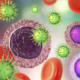 ¿El Fin del VIH?, científicos logran eliminar el virus de células infectadas