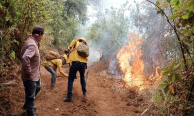 Suben a 126 los incendios activos en México