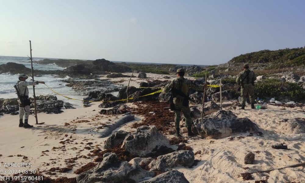 Recalan paquetes de droga en Cozumel