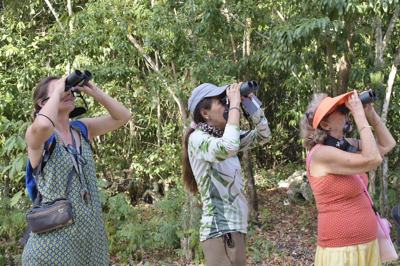 Observación de aves