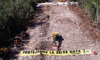 Afectaciones por el Tren Maya