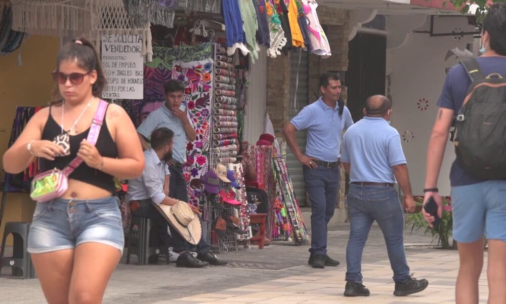 Modulos para denunciar trabajo infantil