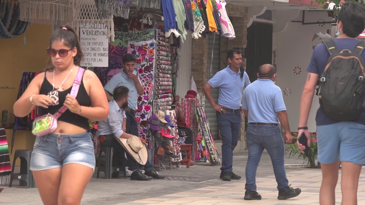 Modulos para denunciar trabajo infantil