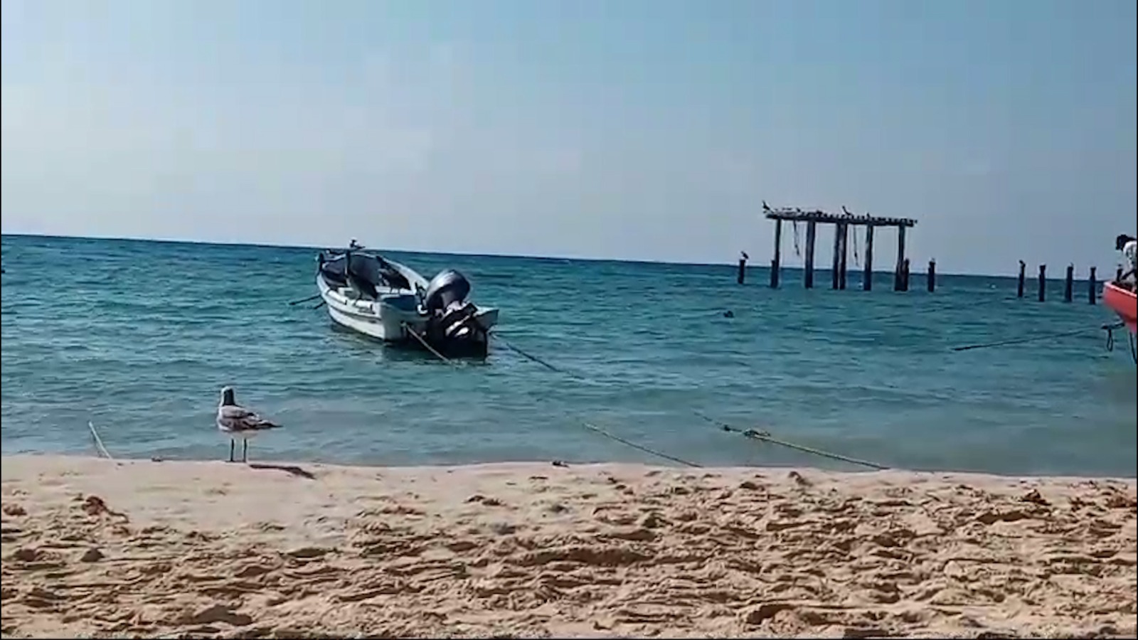 Analizan colocar más barreras contra la erosión de playas