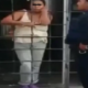 Mujer es detenida por vender tacos de carne enchilada de perro en Puebla