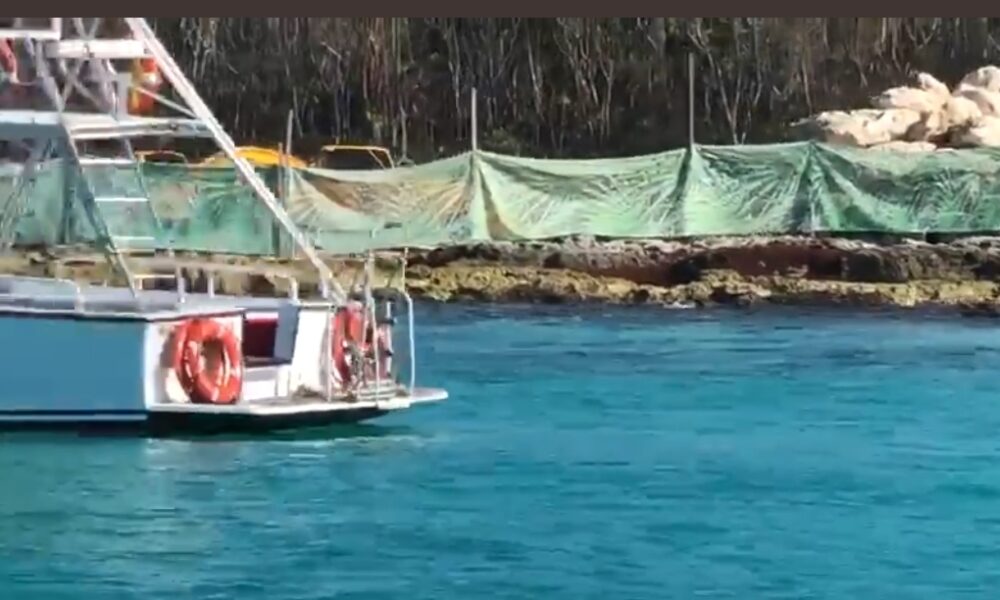 Marina de Xcaret pone en riesgo los sistemas coralinos