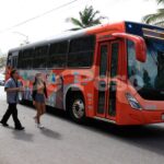 Descartan irregularidades con nuevas unidades del transporte público