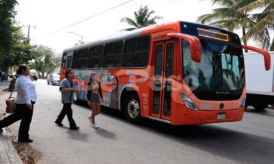 Descartan irregularidades con nuevas unidades del transporte público