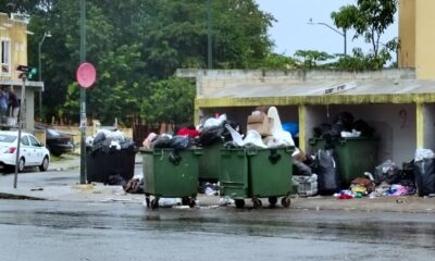 Colocan jardineras en Villas Del Sol para erradicar basureros