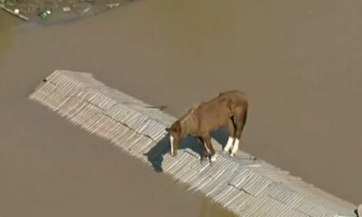 Imágenes impactantes: Graves afectaciones en Brasil por las inundaciones