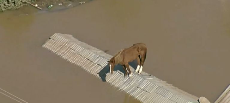 Imágenes impactantes: Graves afectaciones en Brasil por las inundaciones