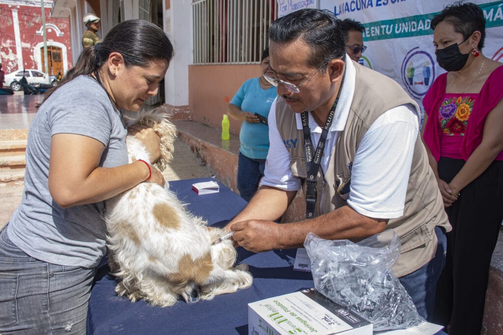 Aplican más de 2 mil dosis de vacunas antirrábicas en Cancún