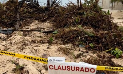 Denuncia ante Profepa obras de Playa Paraíso