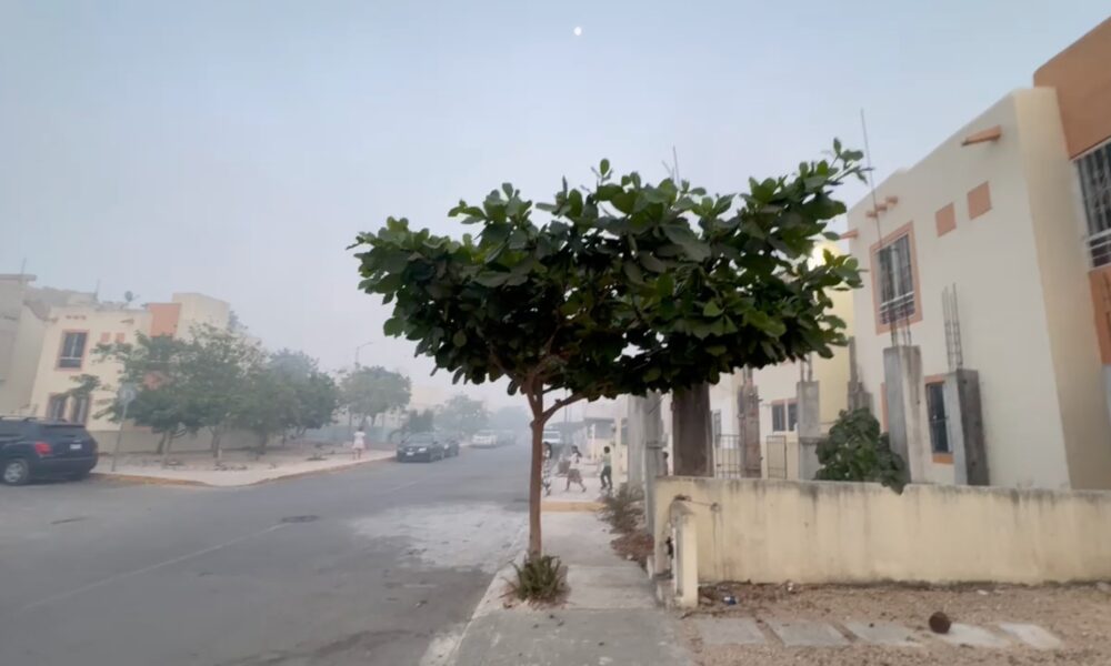 Incendio forestal afecta a colonos de Villas del Sol