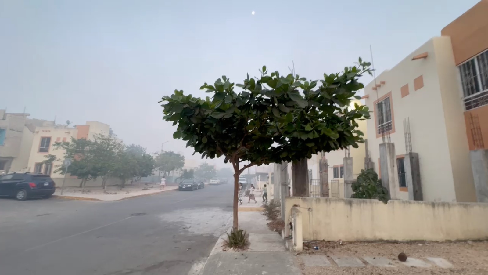 Incendio forestal afecta a colonos de Villas del Sol