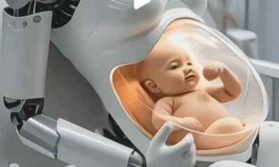 robot portador con útero artificial