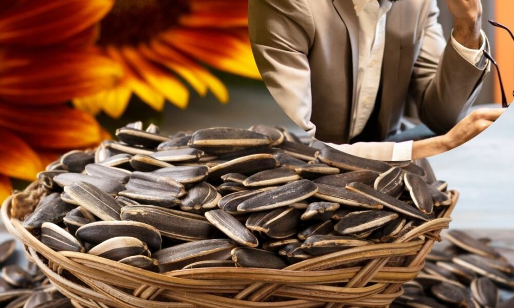 semillas de girasol - hombre frustrado