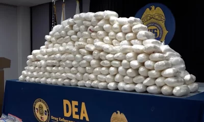 Dea Operativo casi 700 detenidos CJNG