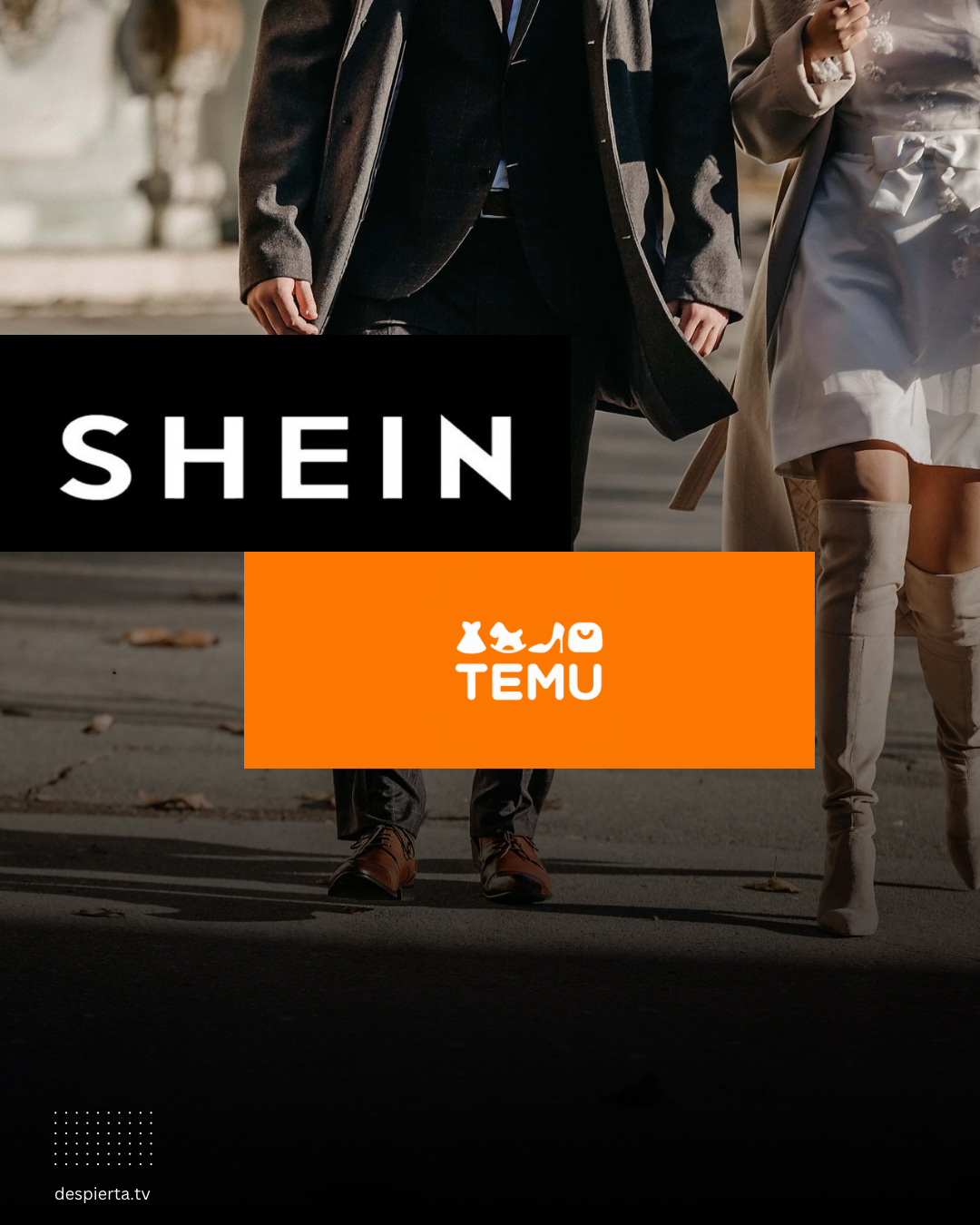 MODA, SHEIN. TEMU