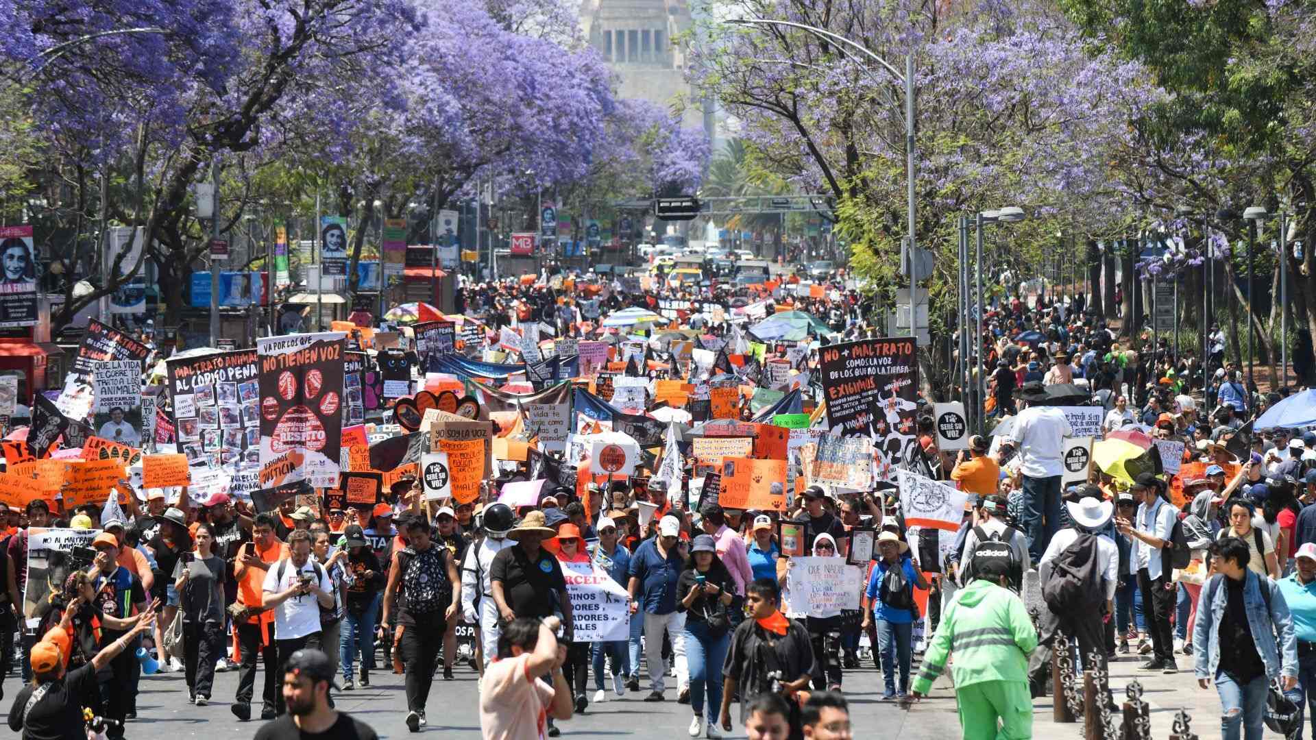 Protestas animalistas