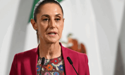 Sheinbaum apuesta por un perfil político con experiencia en derechos humanos.