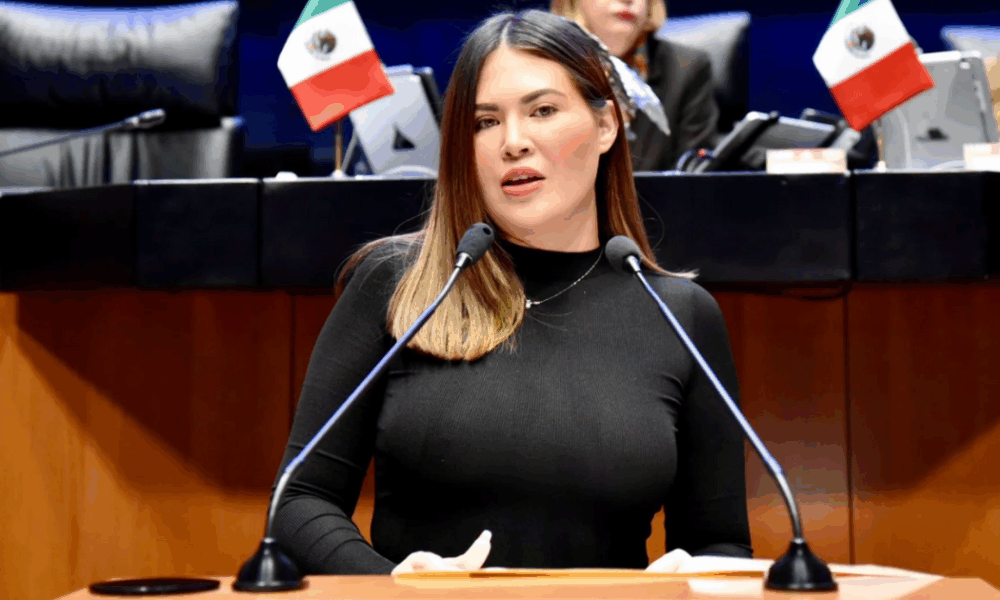 Senadora Anahí González durante sesión en el Senado de la República