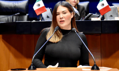 Senadora Anahí González durante sesión en el Senado de la República