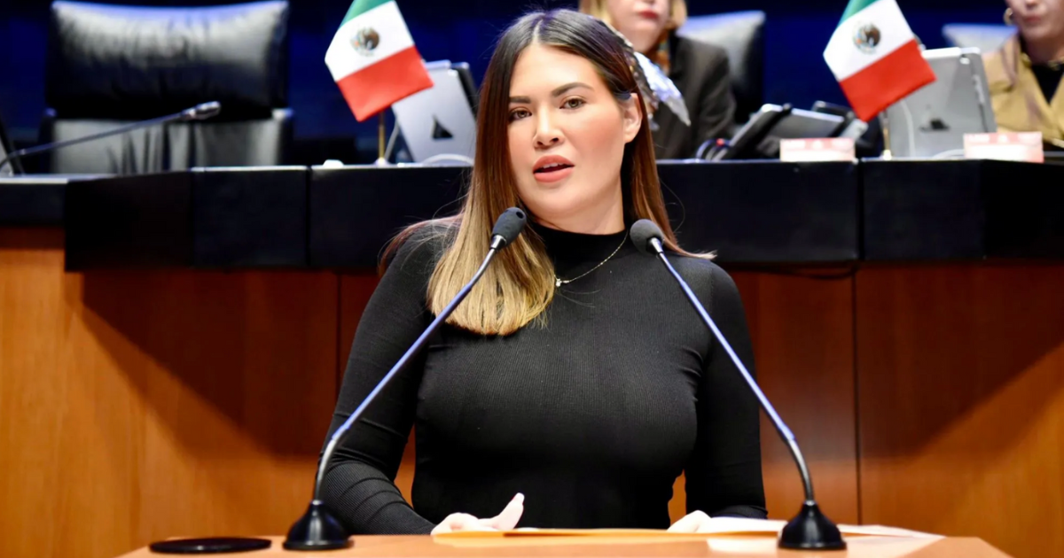 Senadora Anahí González durante sesión en el Senado de la República