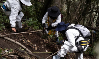 Colectivos de búsqueda y autoridades durante jornada de localización de restos humanos en el Mirador de Topilejo, Ajusco.
