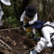 Colectivos de búsqueda y autoridades durante jornada de localización de restos humanos en el Mirador de Topilejo, Ajusco.