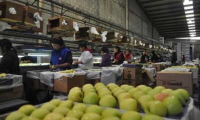 Manzanas fondo de personas mexicanas