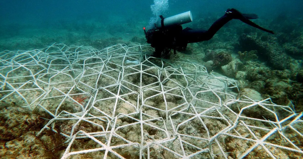 Viveros submarinos con fragmentos de coral en restauración frente a la costa de Quintana Roo.