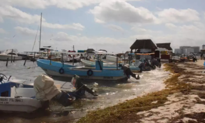Barcas de pescadores detenidas en la orilla del mar por el cierre de puertos en Quintana Roo