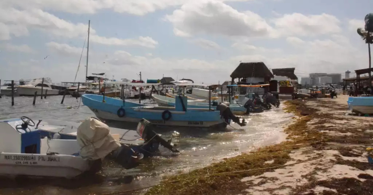 Barcas de pescadores detenidas en la orilla del mar por el cierre de puertos en Quintana Roo