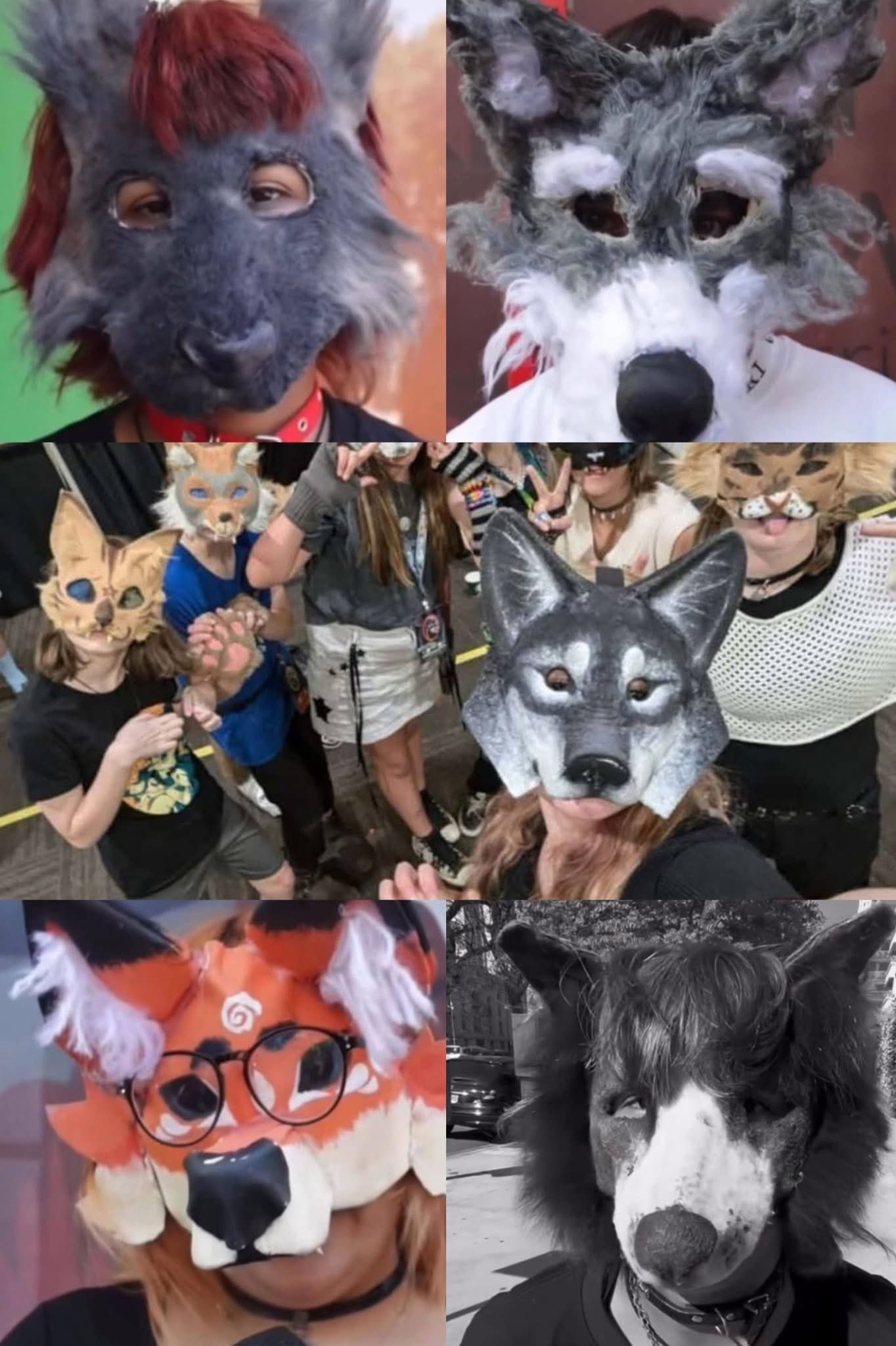 Therians: identidad animal o síntoma cultural