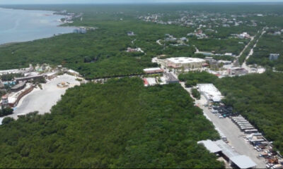 Costa de Mahahual donde un juez frena Perfect Day, proyecto turístico de Royal Caribbean