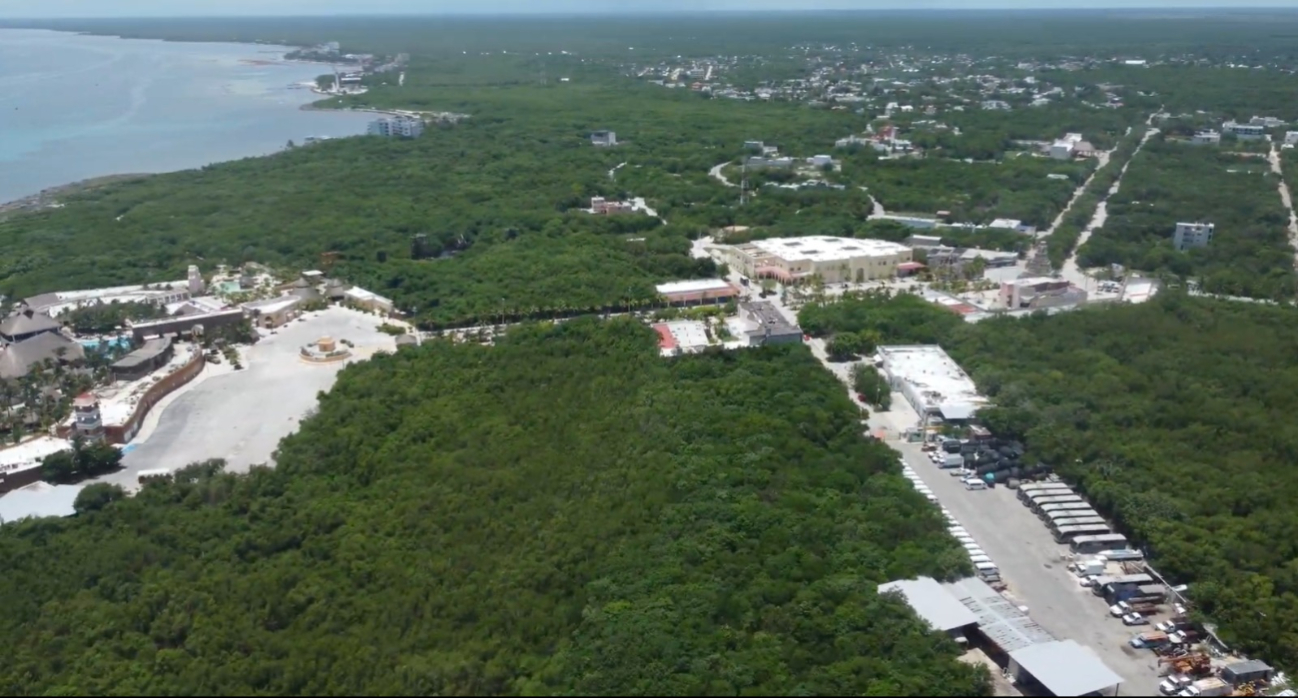 Costa de Mahahual donde un juez frena Perfect Day, proyecto turístico de Royal Caribbean