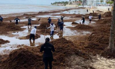 SARGAZO EN PLAYA DEL CARMEN