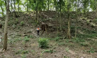 ciudad maya El Jefeciño