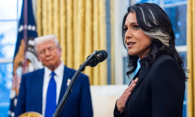 Tulsi Gabbard Renuncia Inteligencia Estados Unidos