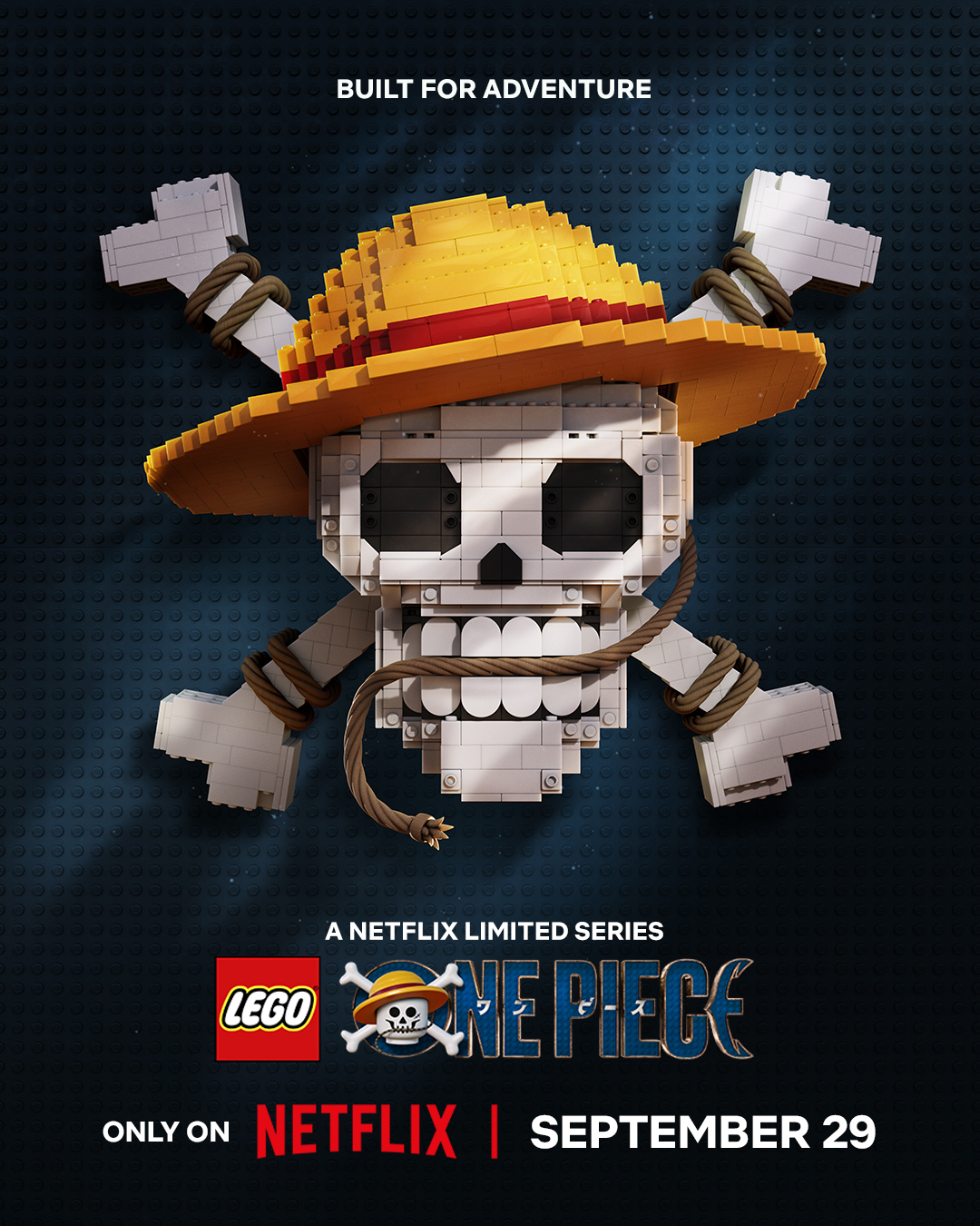 LEGO ONE PIECE