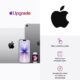 Apple Upgrade