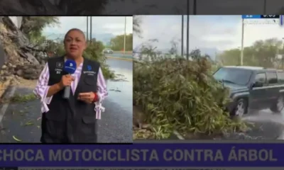 camioneta atropella a reportera