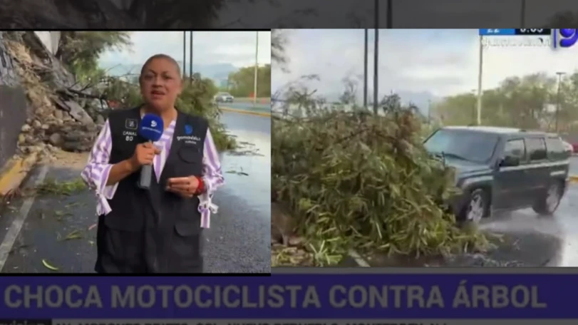 camioneta atropella a reportera